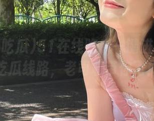 51在线吃瓜一键进入：顶级吃瓜线路，老司机带你飞！