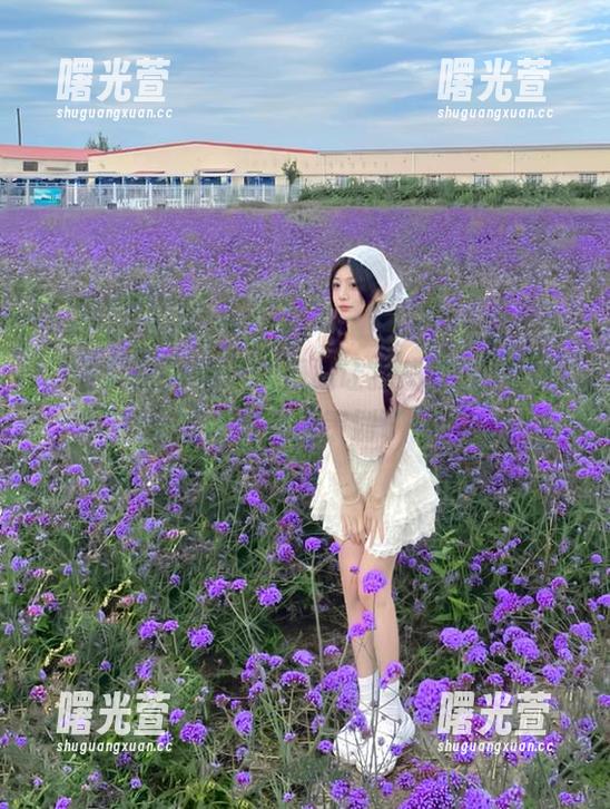 今天的瓜竟让我感叹，911热门的链接好像被策划了一样！