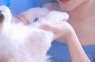 好吧，我承认，不小心在91吃瓜首页在线混入八卦大军，被吸引得无法自拔…