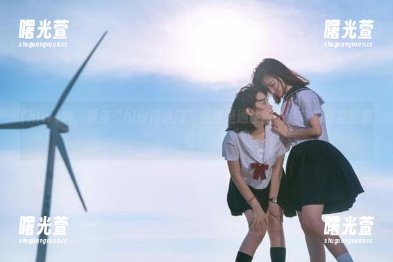 哦，原来“hlw传送门”居然是通往闹心八卦的时空隧道呀！