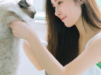 听说51黑料不打烊，资源似乎没休息