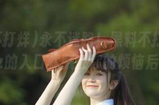 永不迷路！黑料不打烊tttzzz的入口就藏在你的烦恼后面