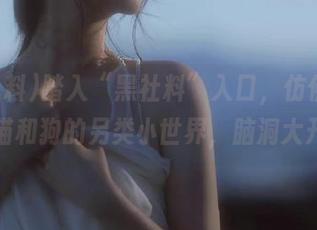 踏入“黑社料”入口，仿佛走进了猫和狗的另类小世界，脑洞大开。