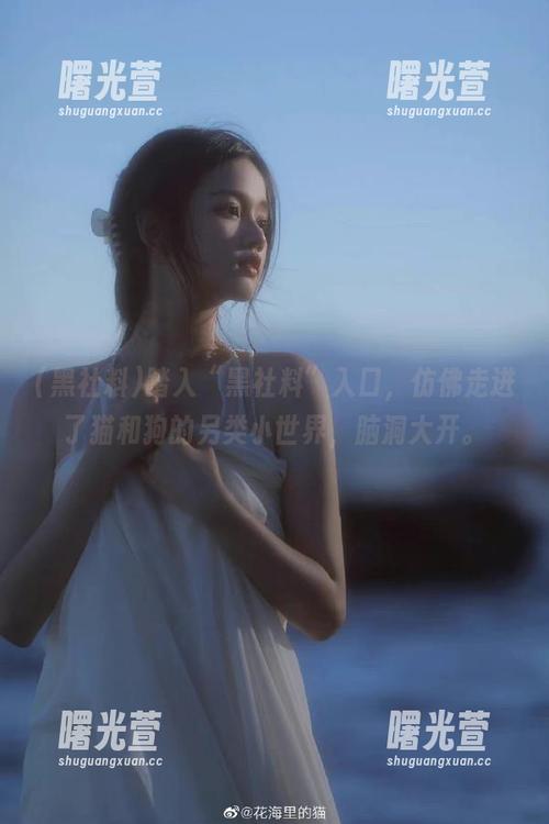 踏入“黑社料”入口，仿佛走进了猫和狗的另类小世界，脑洞大开。